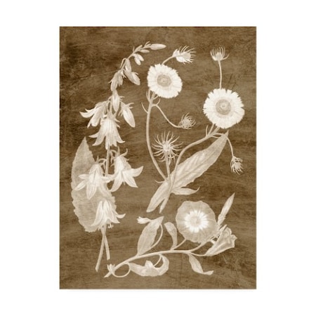 Vision Studio 'Botanical In Taupe Iii' Canvas Art,24x32